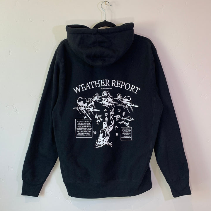 OG Weather Report Hoodie