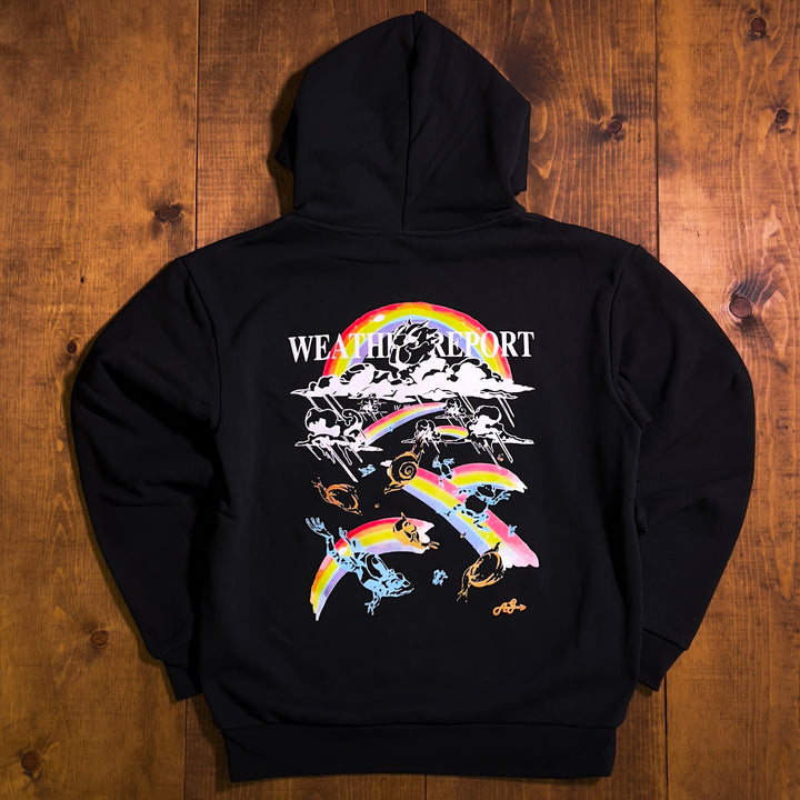 Weather Report Hoodie