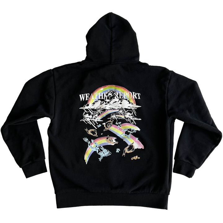 Weather Report Hoodie